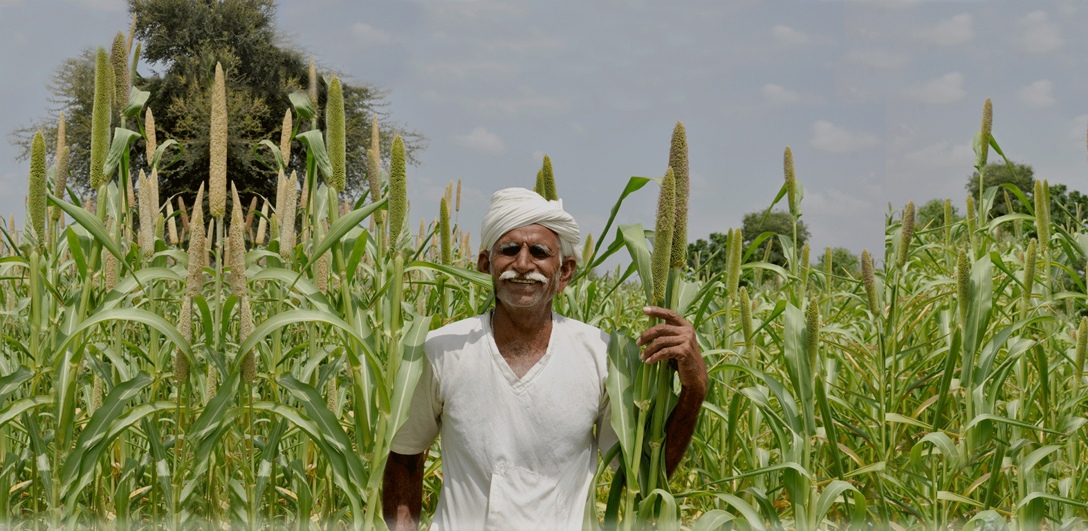 Farm produce background